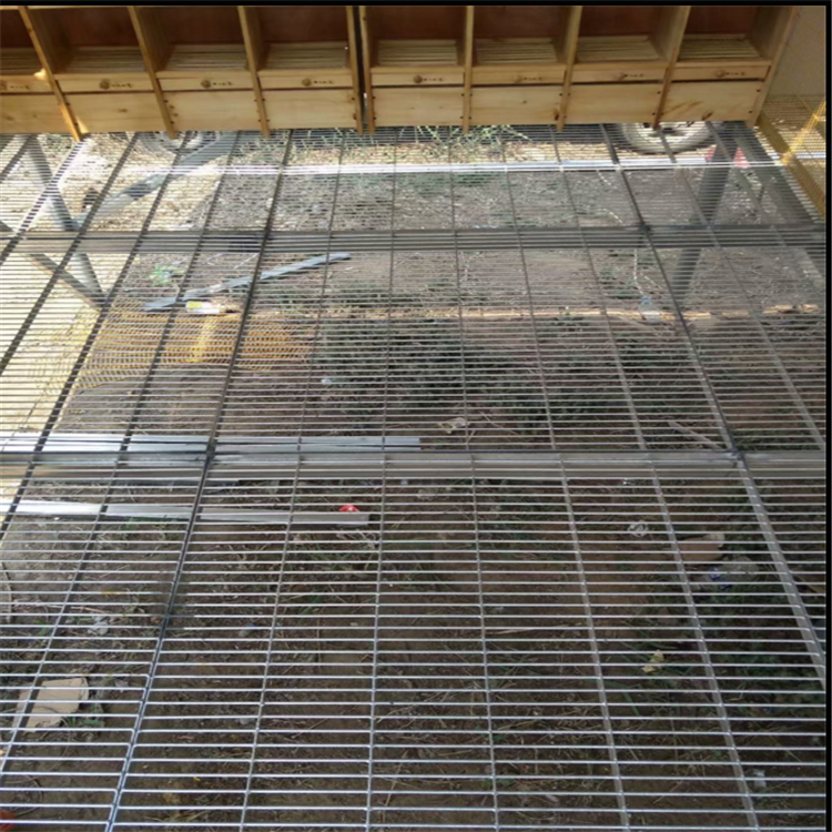 鸽舍地网格栅 - 河北振兴金源丝网集团有限公司图片3